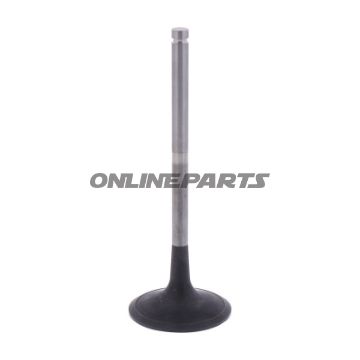 Outlet Valve (Orig Spare Part)