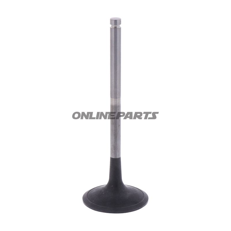 Outlet Valve (Orig Spare Part)