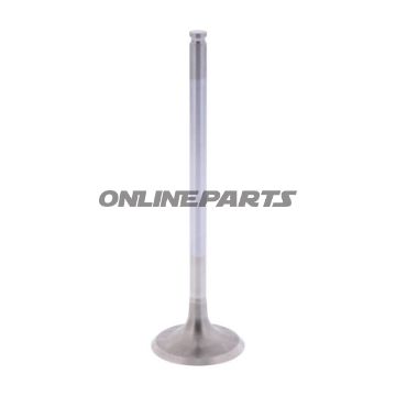 Outlet Valve (Orig Spare Part)