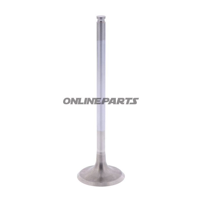 Outlet Valve (Orig Spare Part)