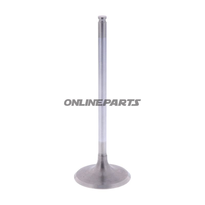 Intake Valve (Orig Spare Part)