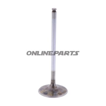 Intake Valve (Orig Spare Part)