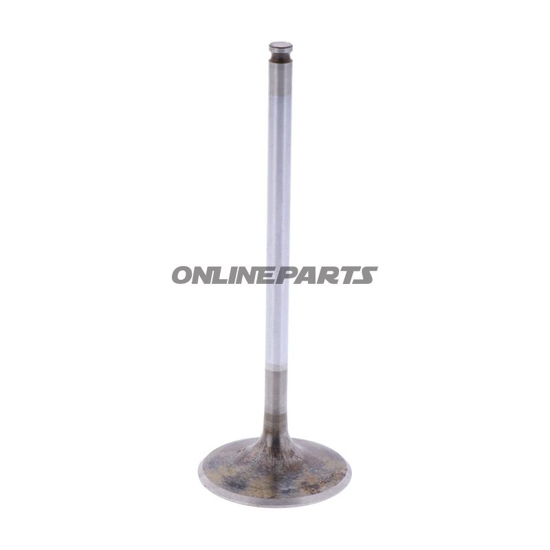 Intake Valve (Orig Spare Part)