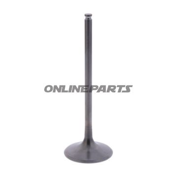 Intake Valve (Orig Spare Part)