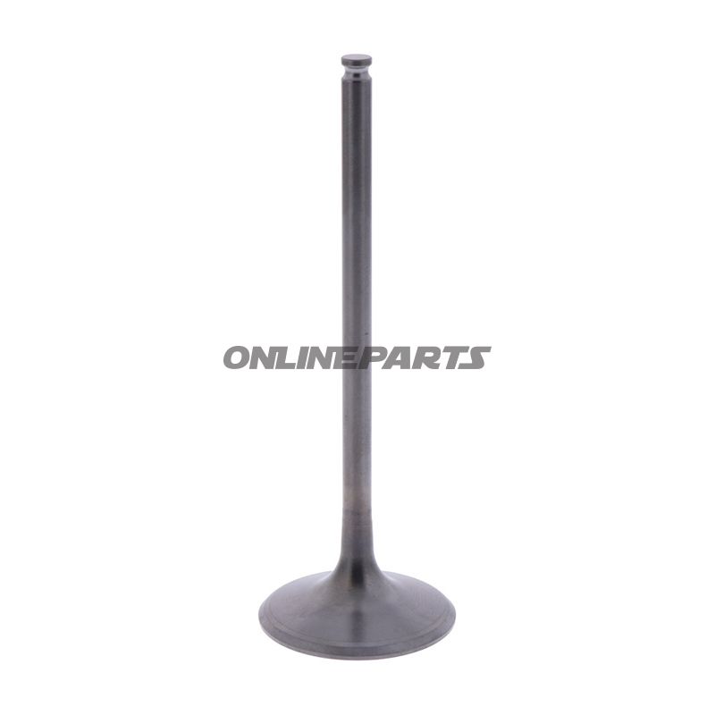 Intake Valve (Orig Spare Part)