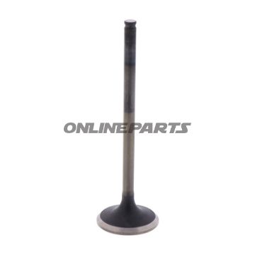 Outlet Valve (Orig Spare Part)