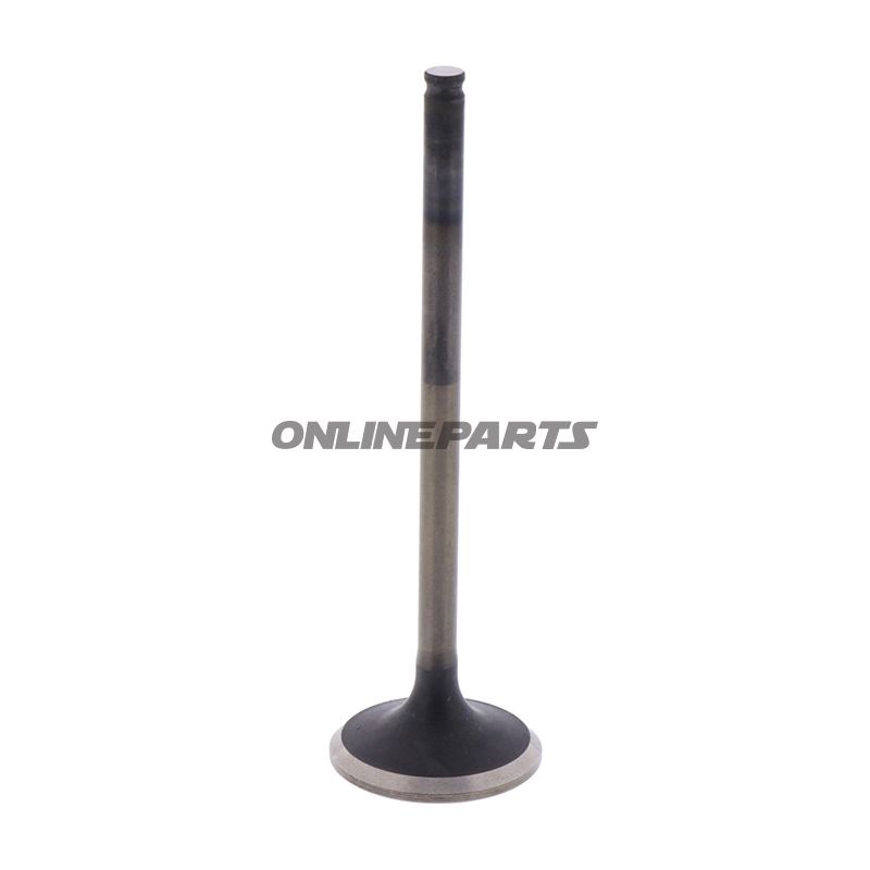 Outlet Valve (Orig Spare Part)