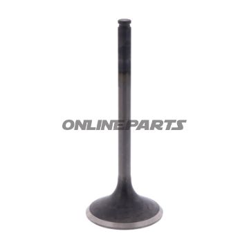 Outlet Valve (Orig Spare Part)