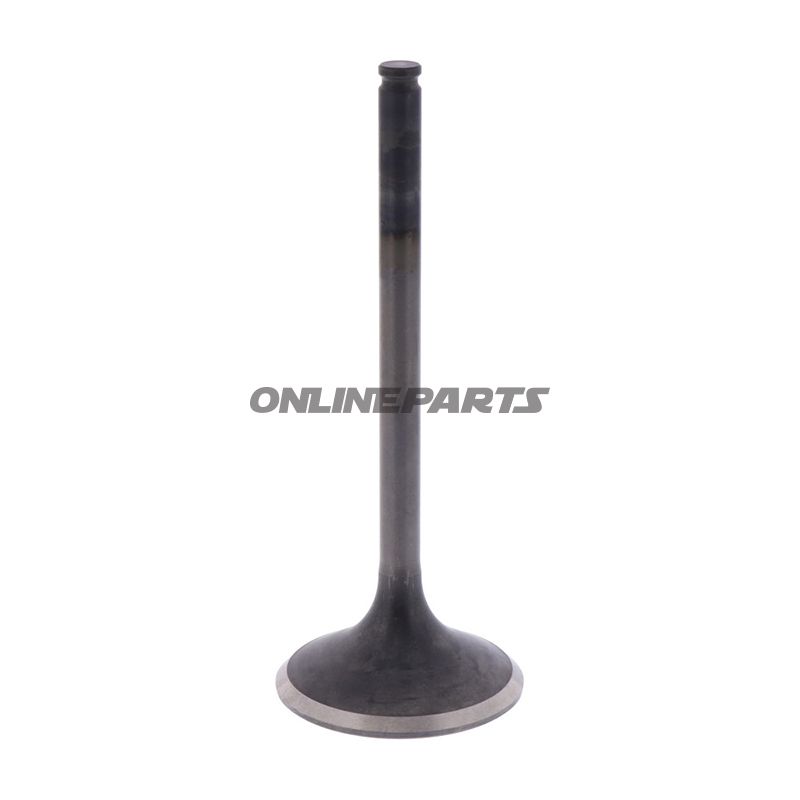 Outlet Valve (Orig Spare Part)