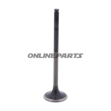 Outlet Valve (Orig Spare Part)