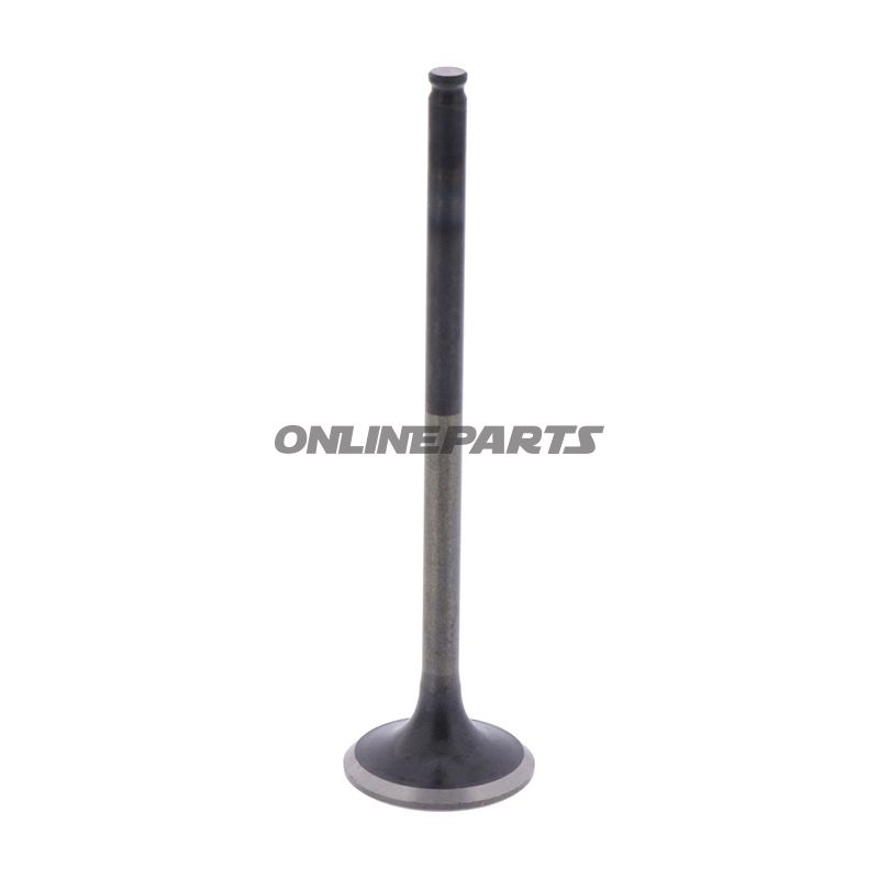 Outlet Valve (Orig Spare Part)