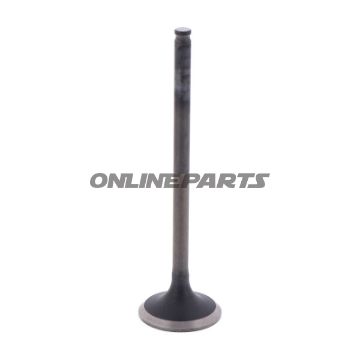 Outlet Valve (Orig Spare Part)