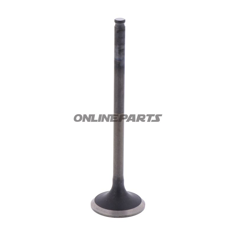 Outlet Valve (Orig Spare Part)