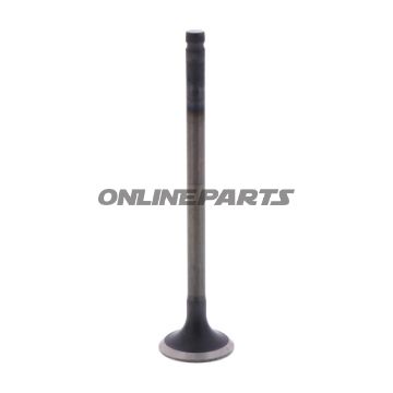 Outlet Valve (Orig Spare Part)