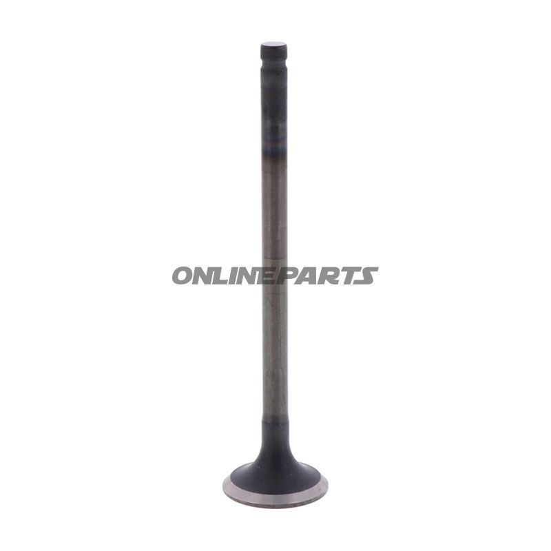 Outlet Valve (Orig Spare Part)