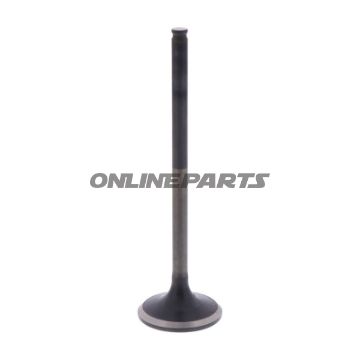 Outlet Valve (Orig Spare Part)