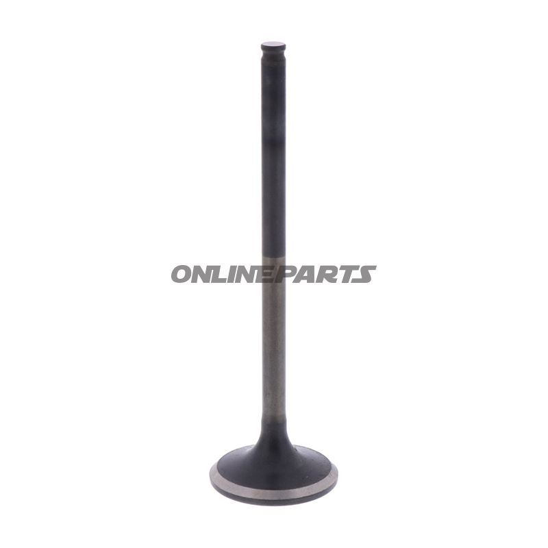 Outlet Valve (Orig Spare Part)