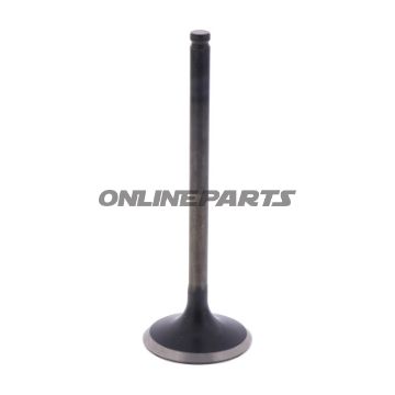 Outlet Valve (Orig Spare Part)