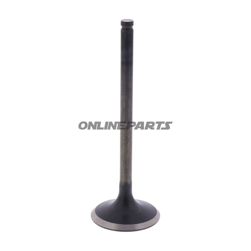 Outlet Valve (Orig Spare Part)
