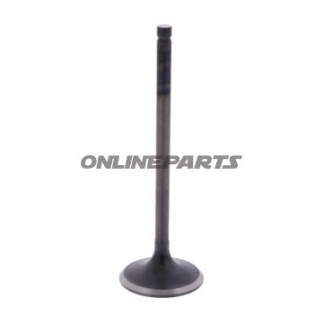 Outlet Valve (Orig Spare Part)