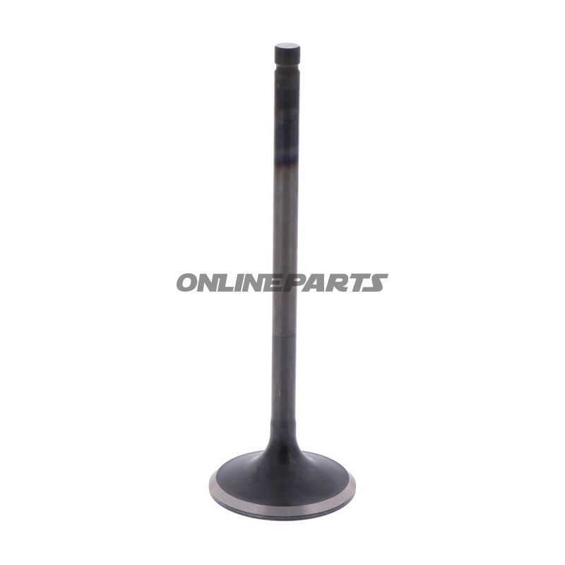 Outlet Valve (Orig Spare Part)