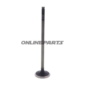 Outlet Valve (Orig Spare Part)