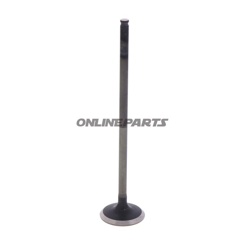 Outlet Valve (Orig Spare Part)