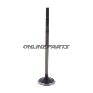 Outlet Valve (Orig Spare Part)