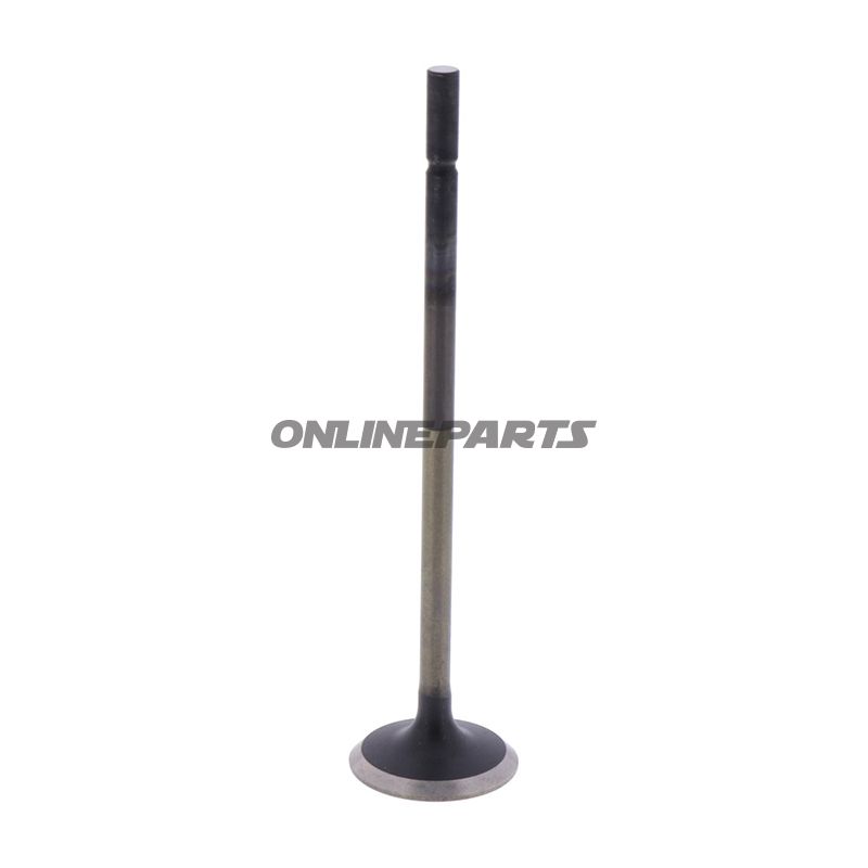 Outlet Valve (Orig Spare Part)