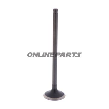 Outlet Valve (Orig Spare Part)