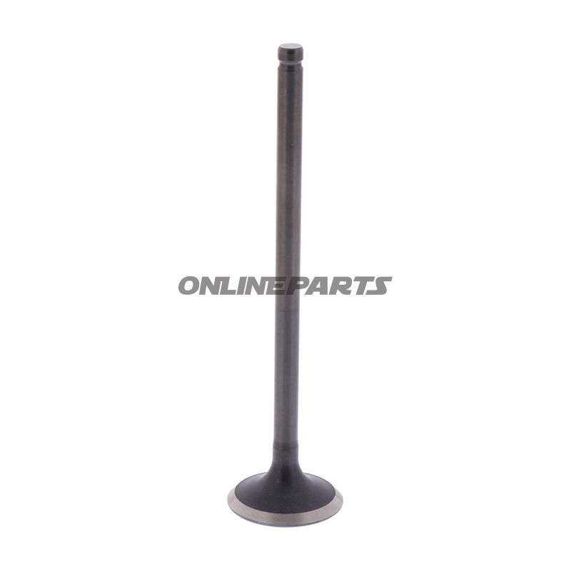 Outlet Valve (Orig Spare Part)