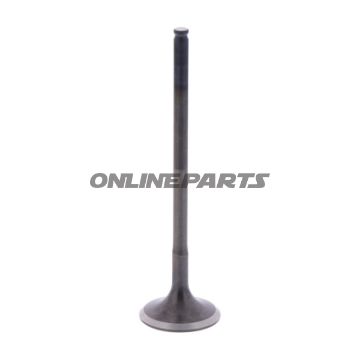 Outlet Valve (Orig Spare Part)