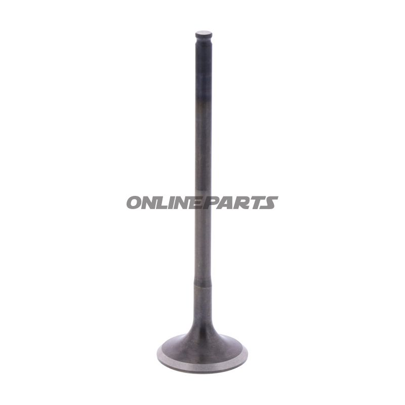 Outlet Valve (Orig Spare Part)