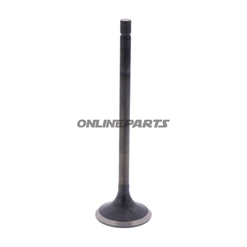 Outlet Valve (Orig Spare Part)