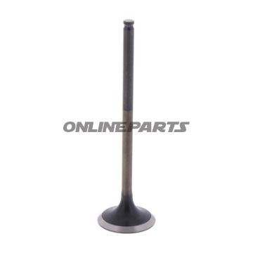 Outlet Valve (Orig Spare Part)