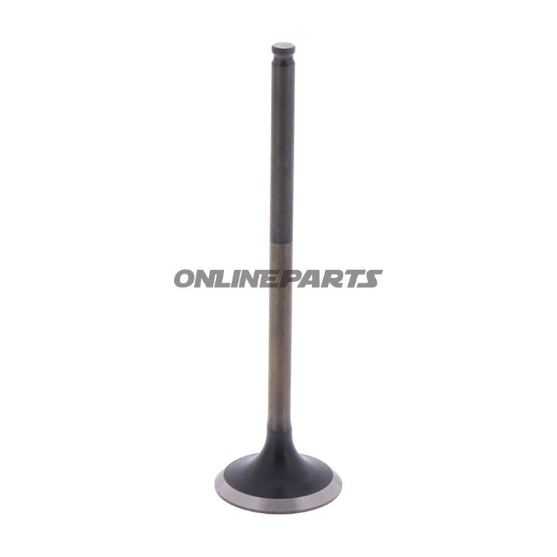 Outlet Valve (Orig Spare Part)