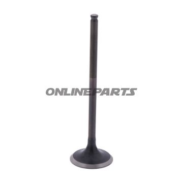 Outlet Valve (Orig Spare Part)