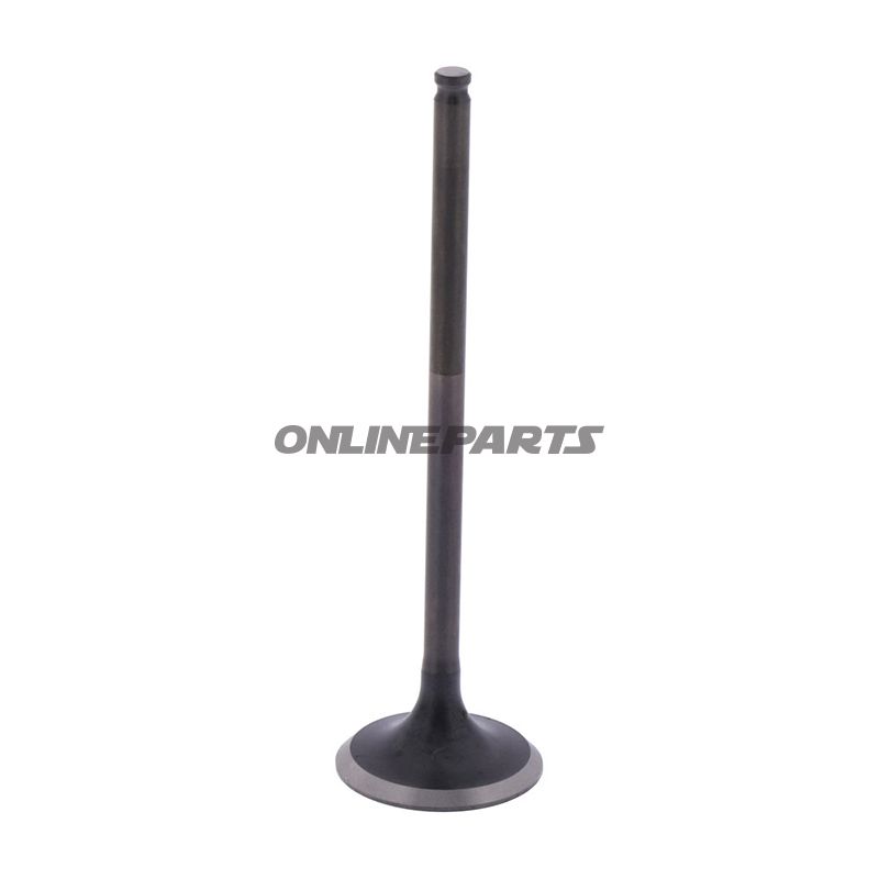 Outlet Valve (Orig Spare Part)