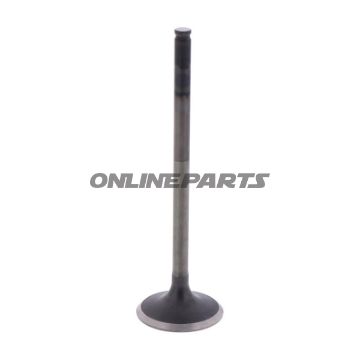 Outlet Valve (Orig Spare Part)