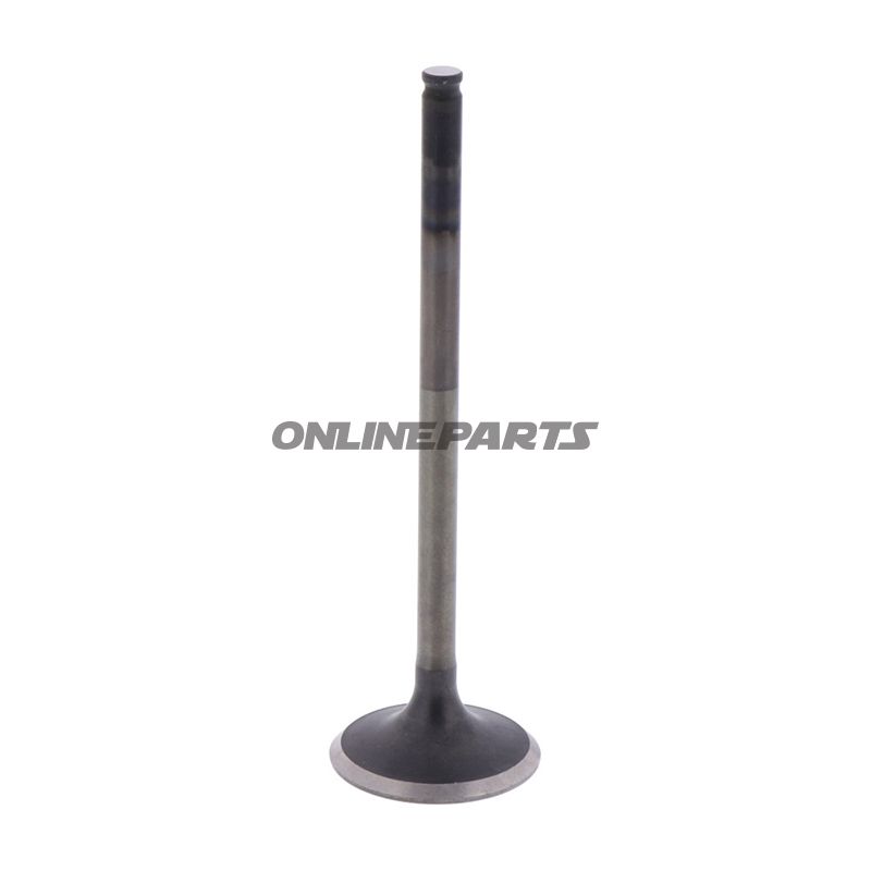 Outlet Valve (Orig Spare Part)