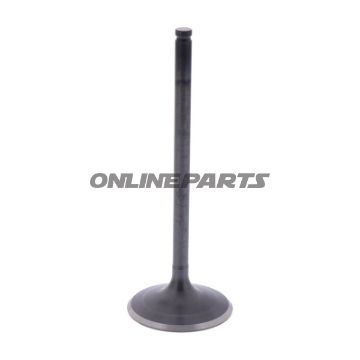 Intake Valve (Orig Spare Part)