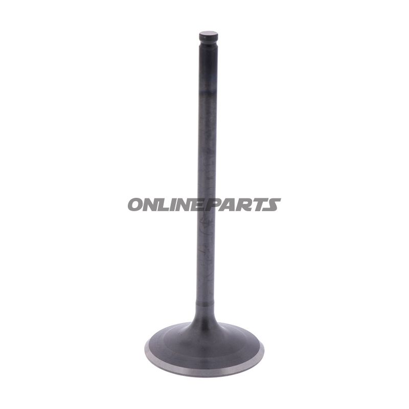 Intake Valve (Orig Spare Part)