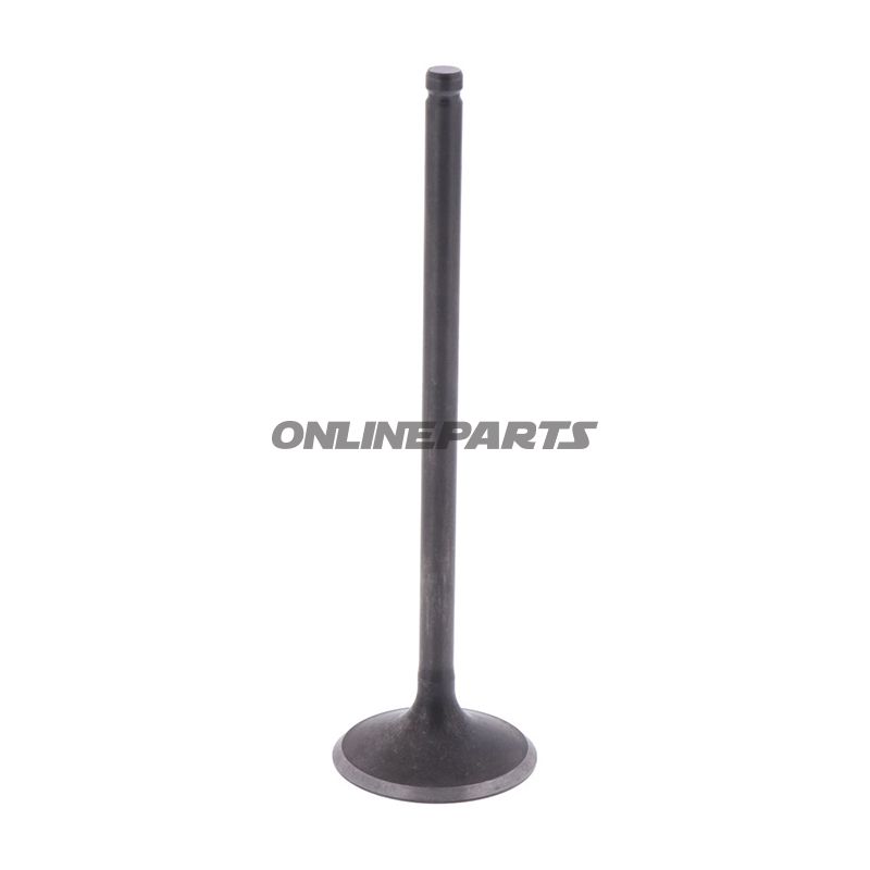 Intake Valve (Orig Spare Part)