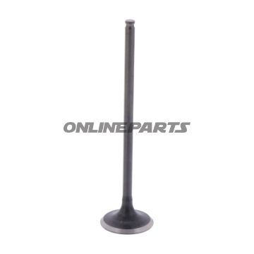 Outlet Valve (Orig Spare Part)
