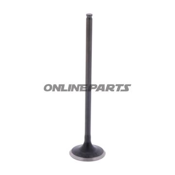 Outlet Valve (Orig Spare Part)
