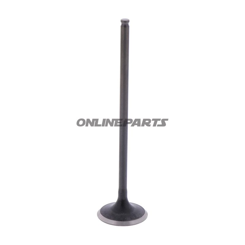 Outlet Valve (Orig Spare Part)