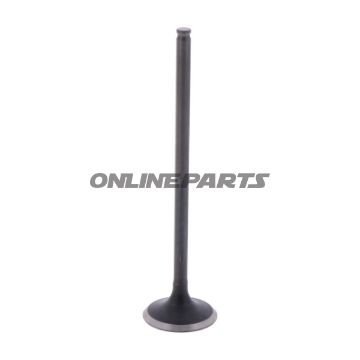 Outlet Valve (Orig Spare Part)