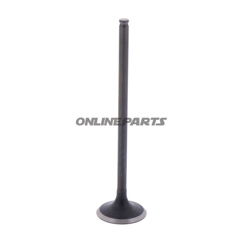 Outlet Valve (Orig Spare Part)