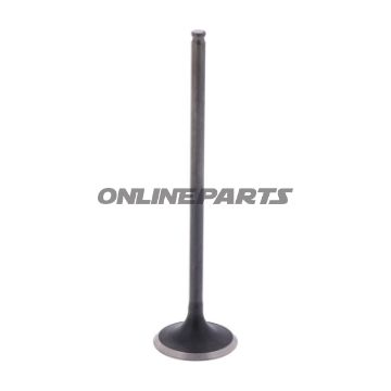 Outlet Valve (Orig Spare Part)