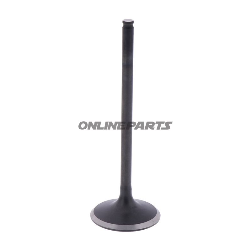Intake Valve (Orig Spare Part)